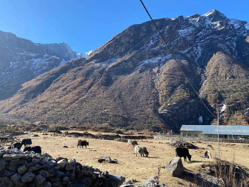 From Kathmandu: 10-Day Langtang Valley Trek - The Itinerary in Detail