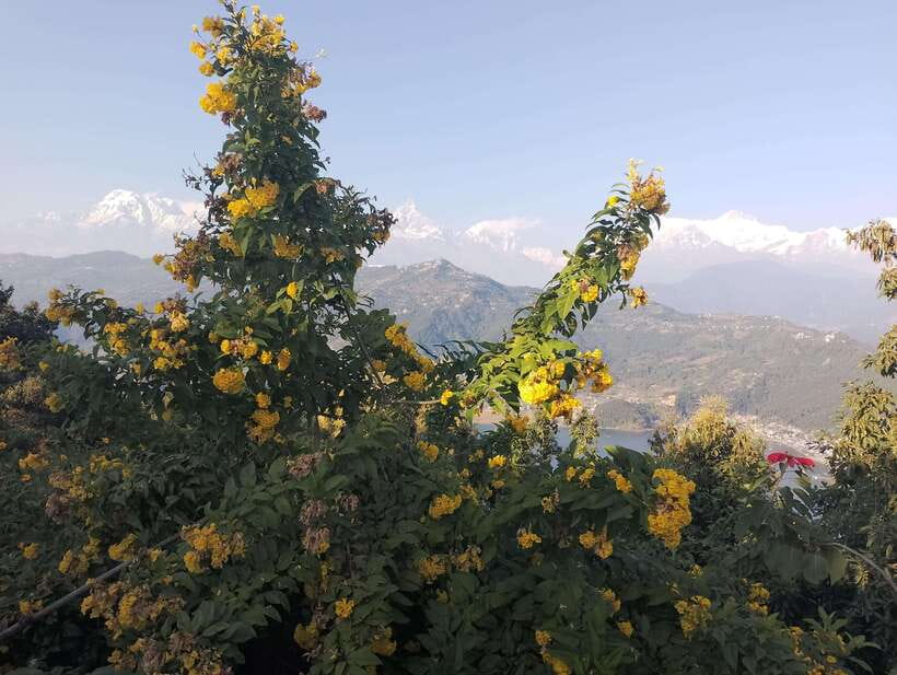 From Kathmandu: 10-Day Nepal Heritage and Nature Tour - What Value Does the Tour Offer?