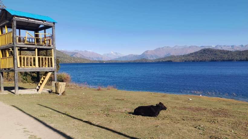 From Kathmandu: 7-Day Jeep Tour to Rara Lake. - What’s Included & What’s Not