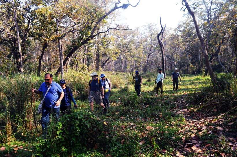From Kathmandu/Pokhara: 2, 3, or 4-Day Chitwan Jungle Safari - An In-Depth Look at the Chitwan Jungle Safari Experience