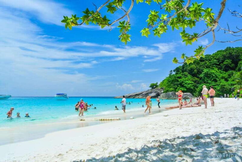 From Khao Lak & Phuket: Trip to Similan Islands by Speedboat - Activities and Experiences