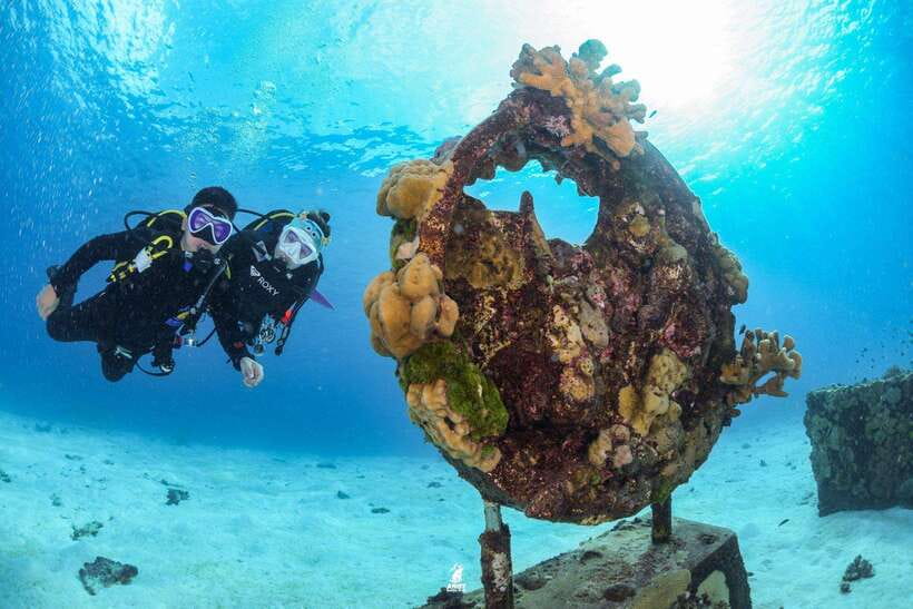 From Khao Lak: Similan Islands Diving Trip - Itinerary Details