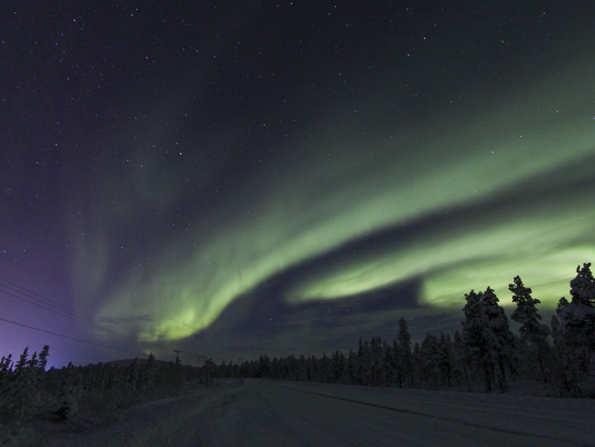 From Kiruna: Northern Lights Guided Husky Sledding Adventure - The Detailed Itinerary