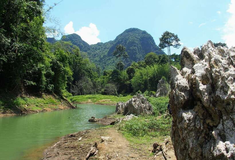 From Krabi: 2-Day Khao Sok Jungle Safari With Overnight Stay - Highlights of the Itinerary