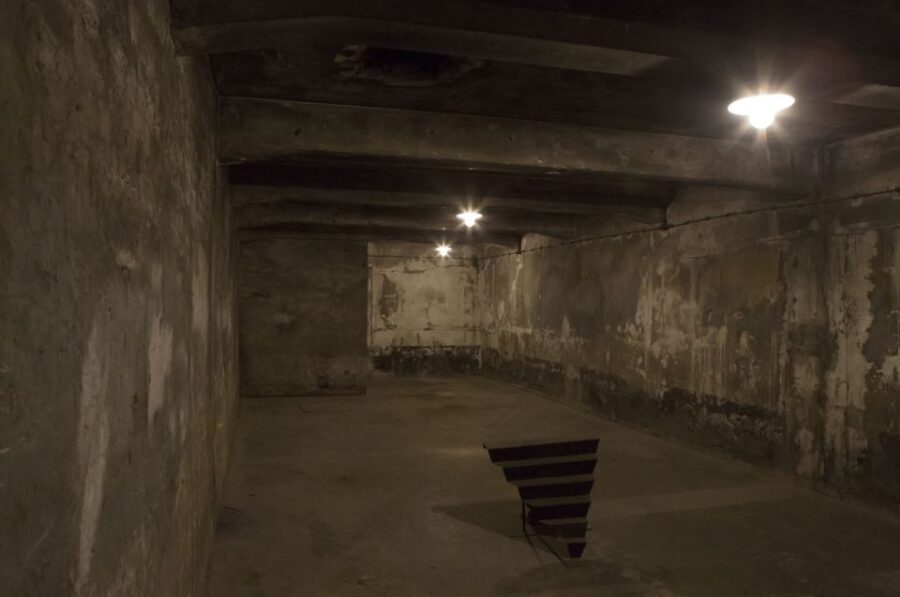 From Krakow: Auschwitz-Birkenau Tour - Who Will Appreciate This Tour?