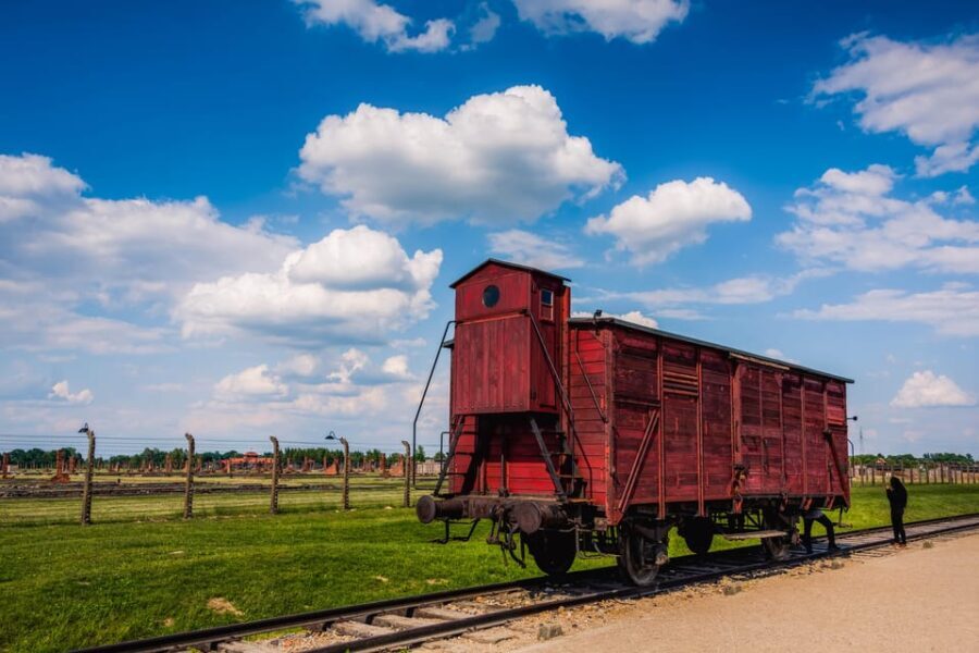 From Krakow: Auschwitz-Birkenau Tour with Transportation - Exploring the Auschwitz-Birkenau Experience