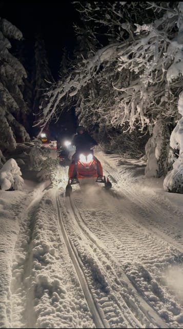 From Krakow: Zakopane Snowmobile NIGHT Ride, Bonfire, - Pricing and Overall Value  