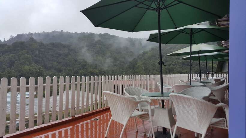 From Kuala Lumpur: Cameron Highlands Full-Day Tour - The Itinerary in Detail