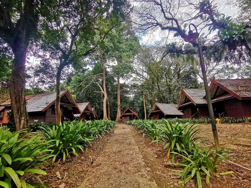 From Kuala Lumpur: Full Day Tour to Taman Negara - The Itinerary in Detail