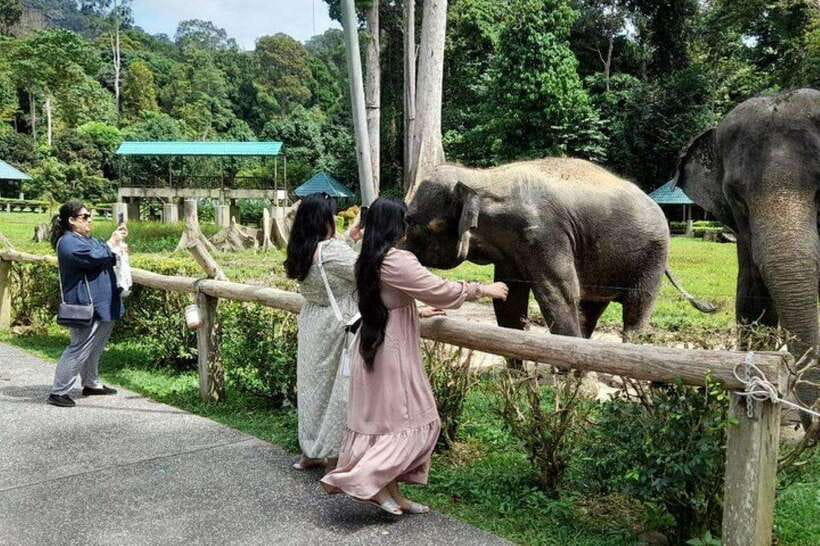 From Kuala Lumpur: Kuala Gandah & Batu Caves Day Trip - Transportation and Group Size