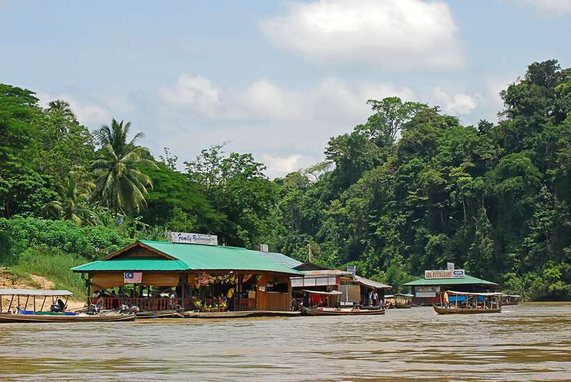 From Kuala Lumpur: Taman Negara National Park Trek Day Tour - Who Should Consider This Tour?