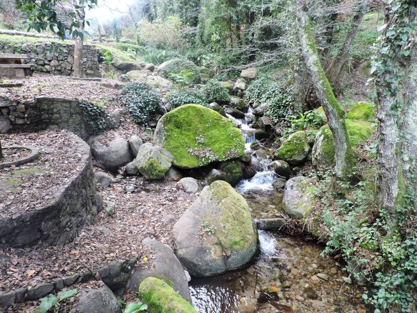 From Lagos: Monchique Private Guided Hike + Medronho Tasting - The Sum Up