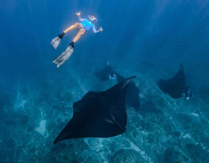 From Lembongan: Full Day Private Boat Snorkeling Nusa Penida - What’s Included and What’s Not