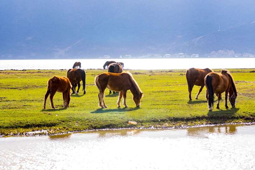 From Lijiang: 6-Day Lijiang to Shangri-La Adventure Tour - From Mountains to Gorges: The Journey Continues