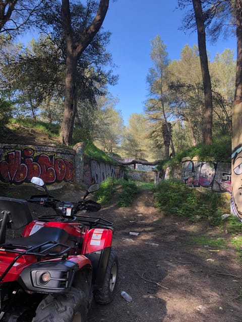From Lisbon: Atlantic Coast Guided Quad Bike Tour - Why This Tour Offers Real Value
