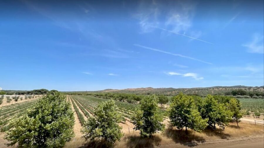 From Lisbon: Évora, Cathedral, Bones Chapel & Wine Tasting - Transport & Group Size 