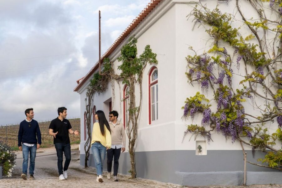 From Lisbon: Sintra & Pena Palace Day Trip with Wine Tasting - The Practical Details