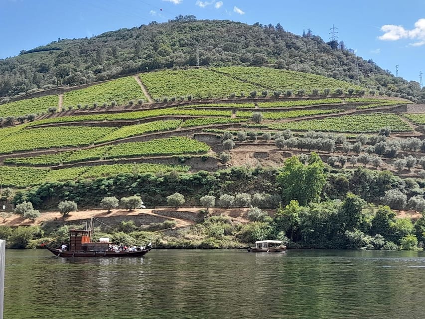 From Lisbon to Douro Valley with Stops up to 3 Cities - Final Thoughts: Who Will Love This Tour?