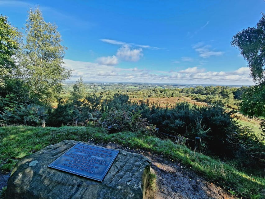 From London: Winnie-the-Pooh's Hundred Acre Wood Day Tour - The Value of This Tour