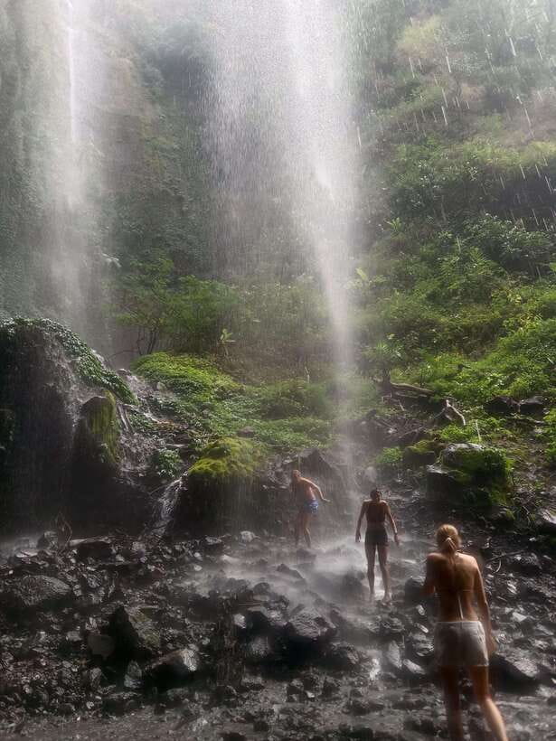 From Malang / Surabaya: Madakaripura Waterfall Guided Tour - The Experience in Practice: What Travelers Say
