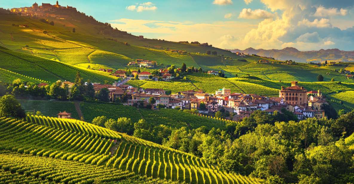 From Milan: Barolo Wine Tasting, Alba Tour and Castle Visit - What Makes This Tour Stand Out