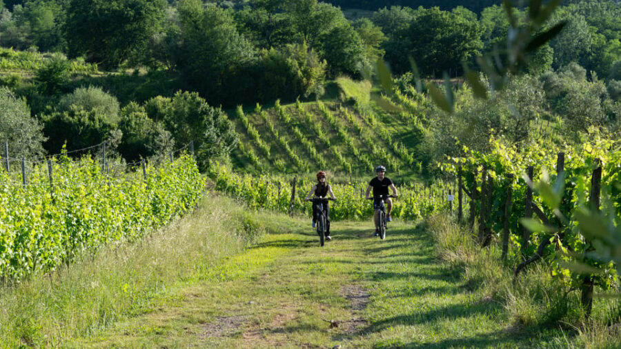 FROM MONTECATINI TERME: E-BIKE TOUR WITH WINE TASTING - Who Will Love This Tour?