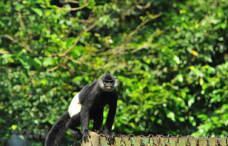From Ninh Binh: Cuc Phuong National Park Day Trip With Lunch - Transportation Details