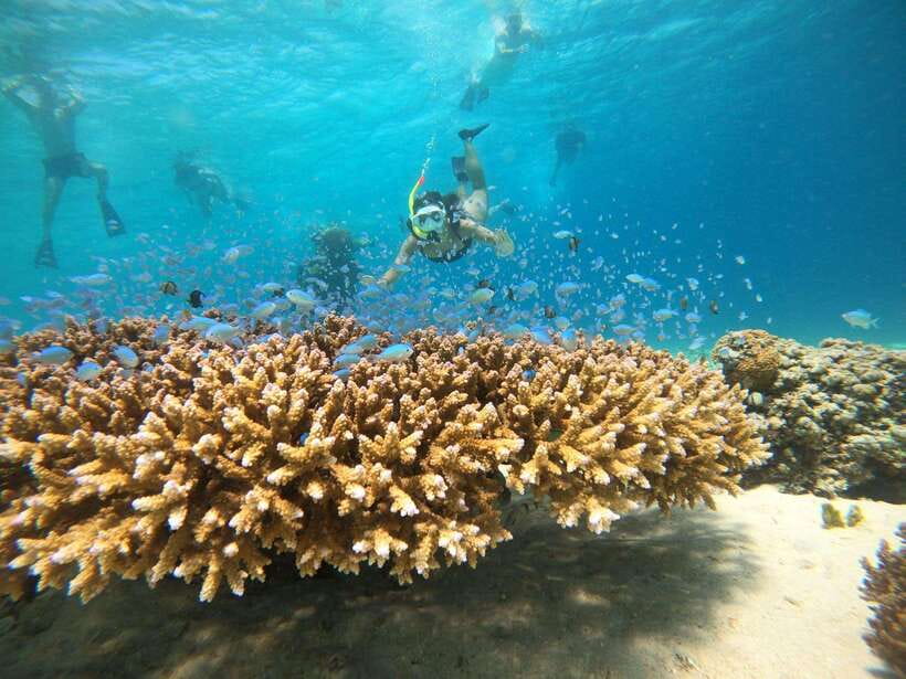 From Nusa Penida: 2D1N Gili Islands Private Snorkeling Tour - What Makes This Tour a Good Value  