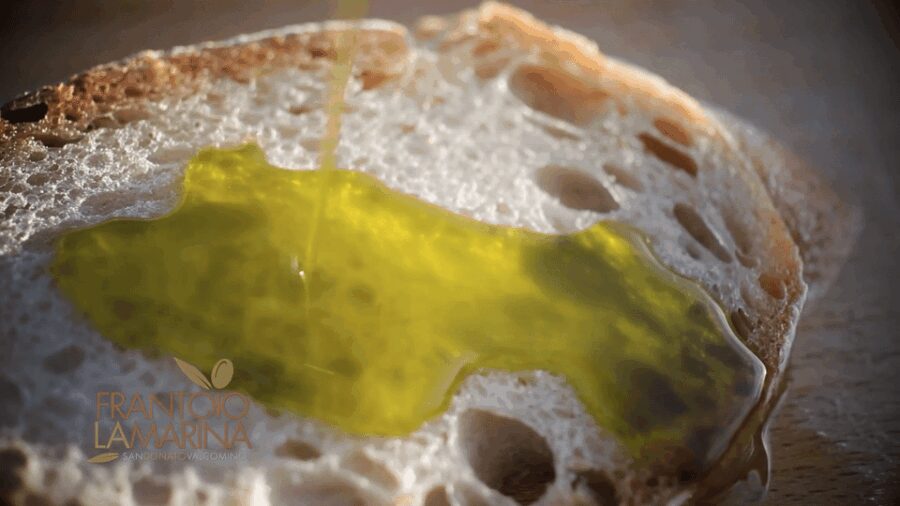 From Olive to Oil - Harvesting and Visit to Oil Mill With Tasting - Harvesting at LaMarina Farm