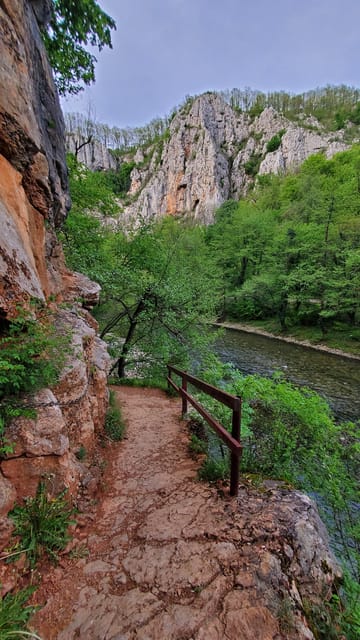 From Oradea: Gorges of Crisul Repede River - Scenic Highlights: Vadu Crisului Falls and More