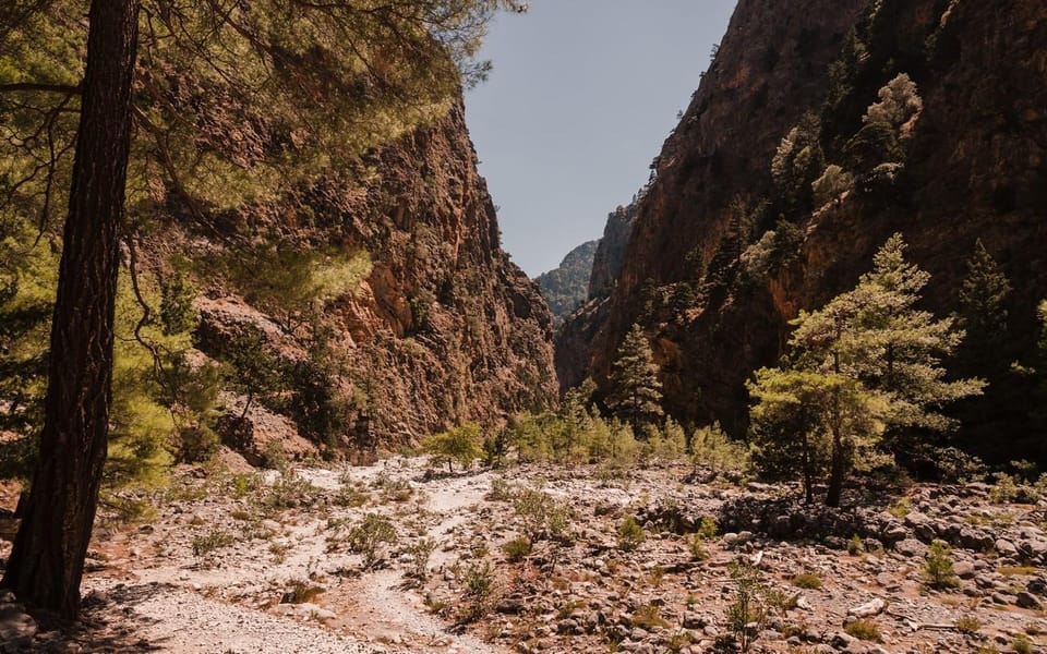 From Panormo or Lavris: Samaria Gorge Hike with Guide - Cost and Value