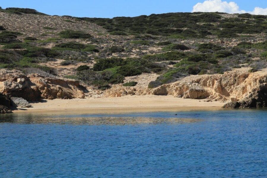 From Paros: Antiparos and Despotiko Full-Day Swim Cruise - What Past Travelers Say