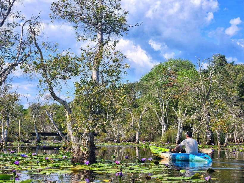 From Pattaya: Private Rayong Adventure Hike and Kayak Trip - Itinerary Highlights