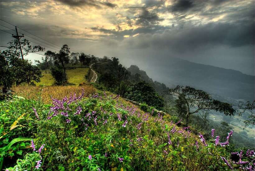 From Pokhara: 3 Day Dhampus-Sarangkot Trek - What’s Included and What’s Not