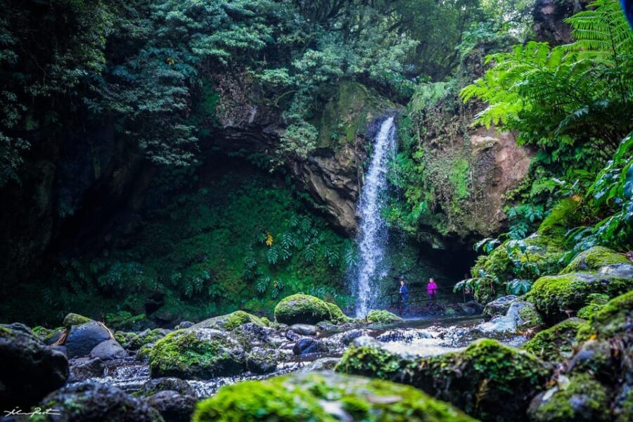 From Ponta Delgada: Hiking Moinho do Félix - What Makes This Tour Stand Out