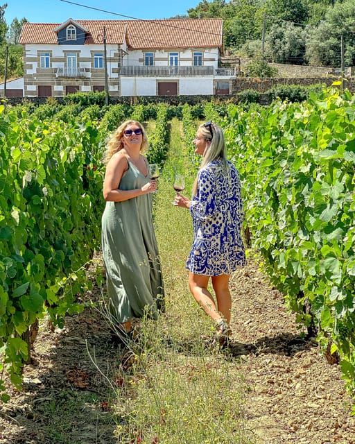 From Porto: Douro Valley Private Tour w/ 3 Wineries & Lunch - Authentic Experiences: What Travelers Love