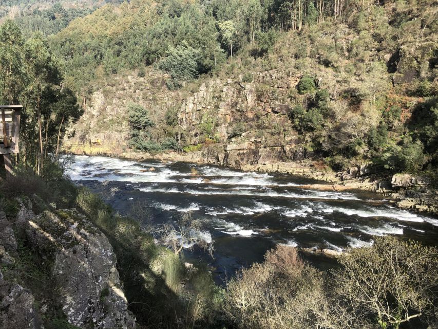 From Porto - Paiva Walkways and Suspension Bridge - Detailed Breakdown of the Experience