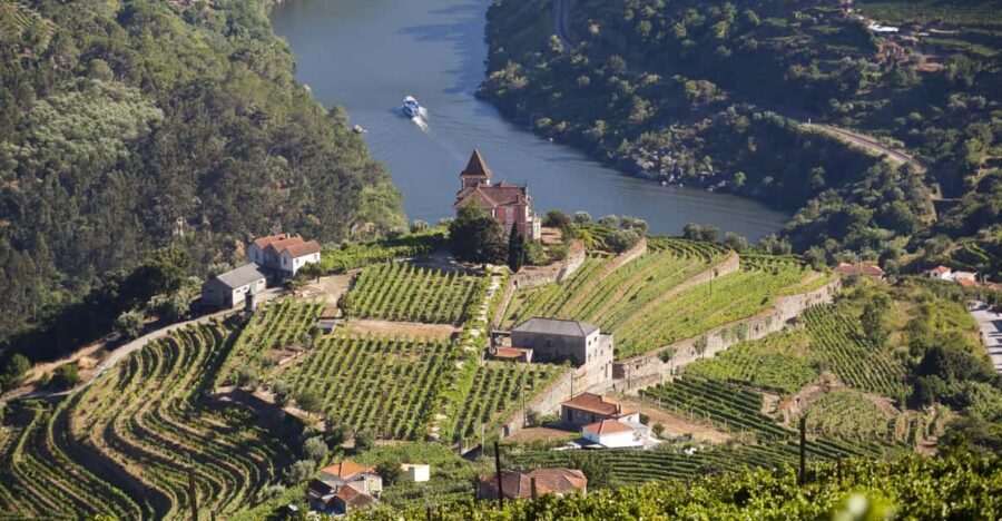 From Porto: Premium Douro Valley Small-Group Wine Tour - First Winery Visit: Tasting and Learning
