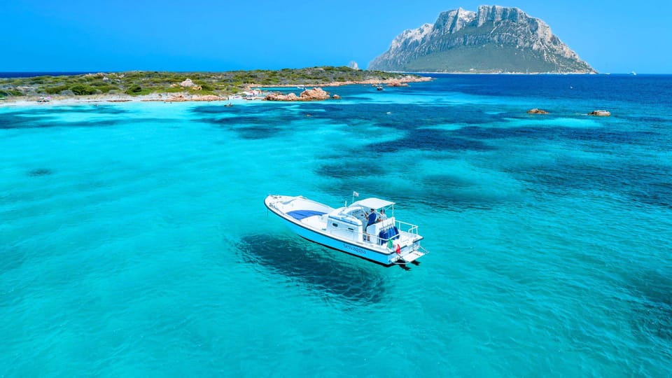 From Porto San Paolo: 4-hour boat tour to Tavolara - The experience of the cruise