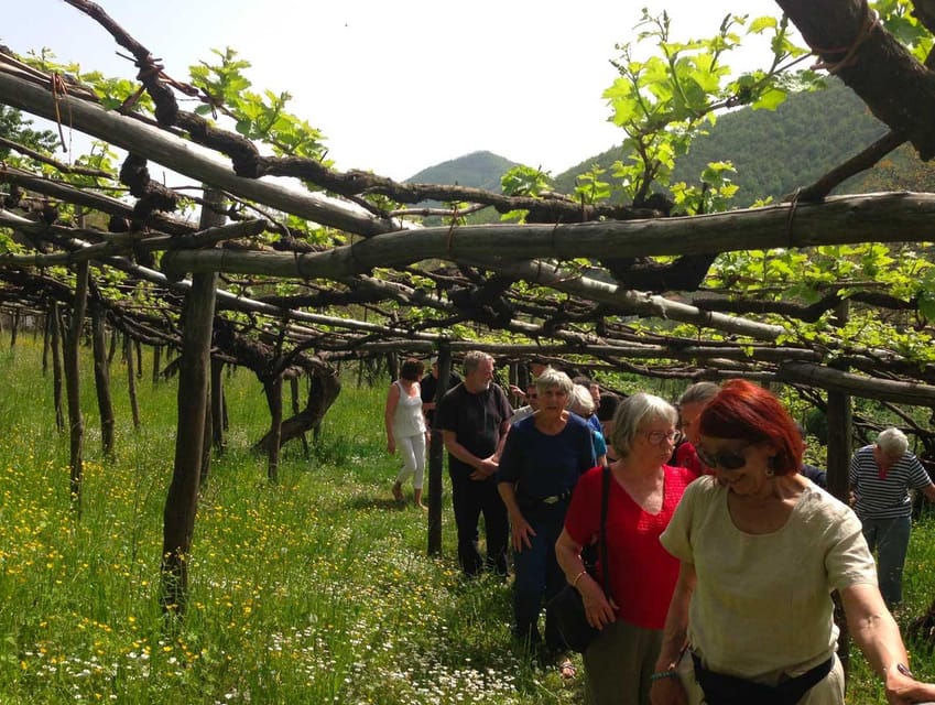 From Positano: Amalfi Coast Tour and Wine Tasting with Lunch - The Family Winery Experience: Authenticity in Every Sip  