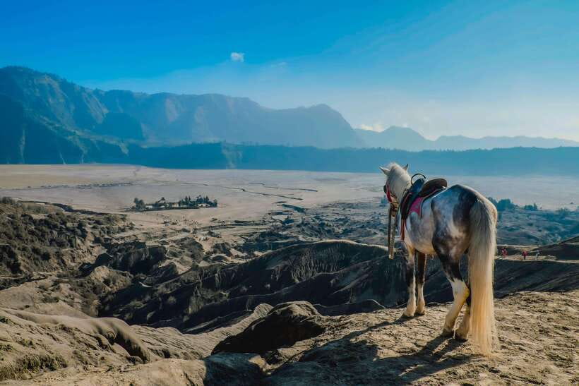 From Probolinggo: 2-Day Bromo & Ijen Tour w/ One-Night Stay - What’s Included and What You Should Consider