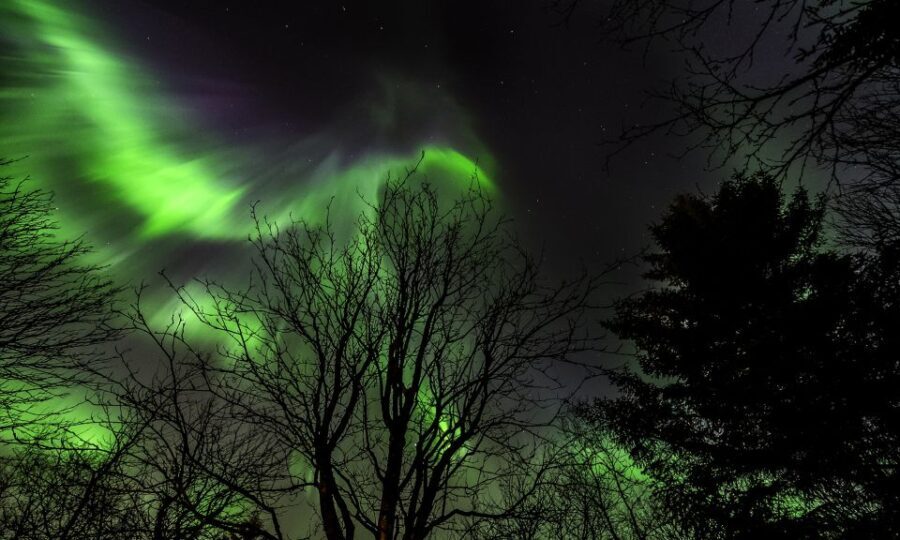 From Reykjavik: Northern Lights Tour with Lifetime Guarantee - Authentic Insights from Travelers
