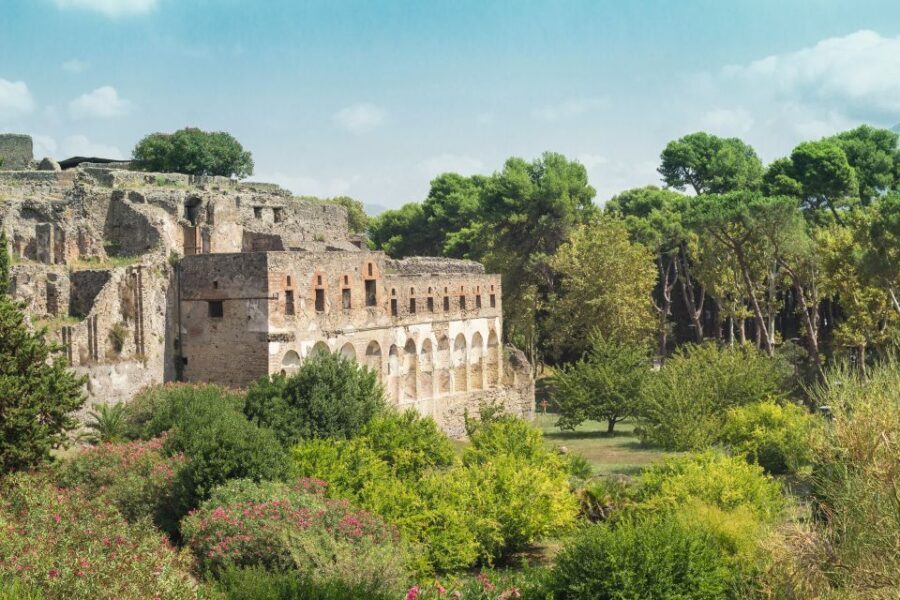 From Rome: Pompeii Private Full-Day Trip with Tour - The Practicalities