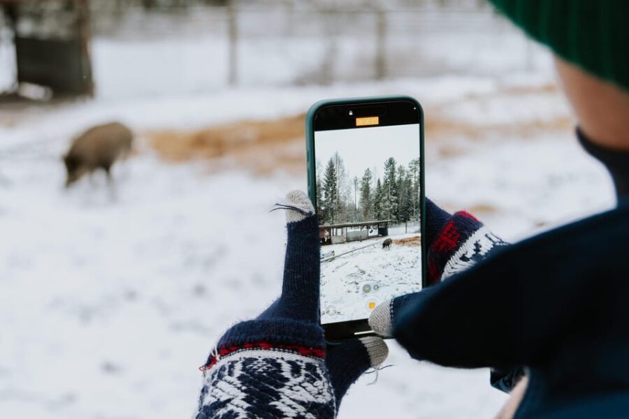 From Rovaniemi: Family Friendly Visit to Ranua Wildlife Park - Analyzing the Tour’s Value