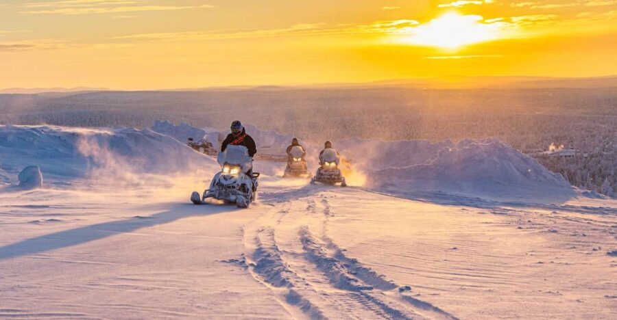 From Rovaniemi: Guided Lapland Snowmobile Adventure - Who Will Love This Tour?