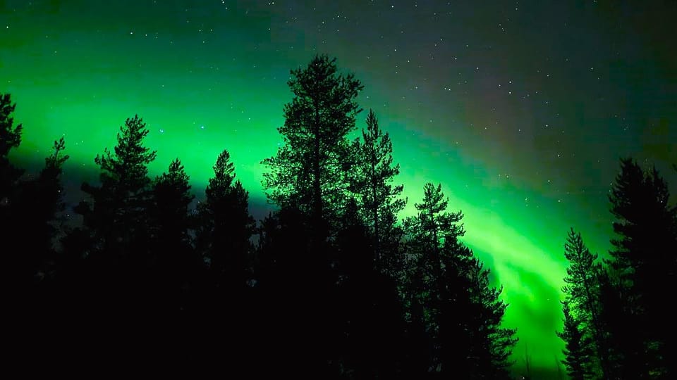 From Rovaniemi: Night Tour in Search of the Aurora with BBQ - FAQs