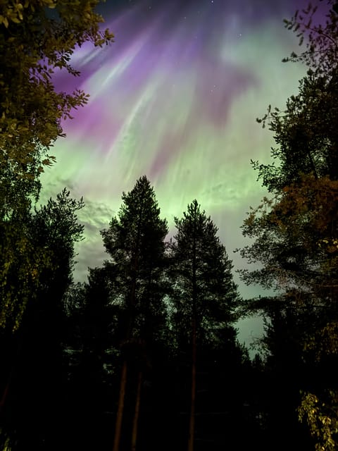 From Rovaniemi: Northern Lights Tour with Campfire Snacks - What’s Included and What to Expect