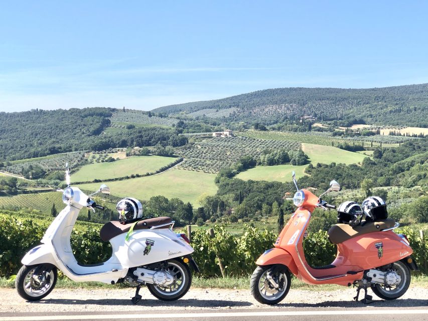 From San Gimignano: Chianti Half-Day Vespa Tour with Lunch - Who Will Get the Most Out of This Tour?
