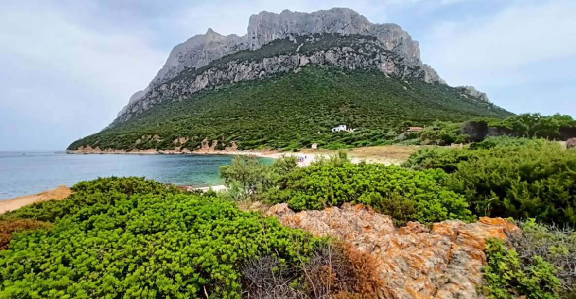 From San Teodoro: Tavolara Archipelago Mini Tour - Itinerary Highlights