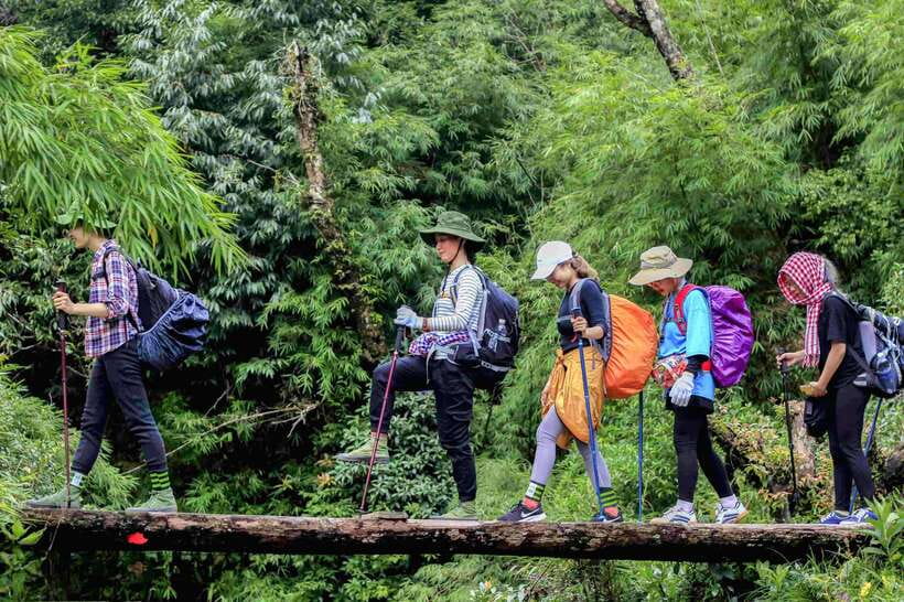 From Sapa: Fansipang Mountain Hike 1 Day - Itinerary